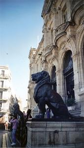 ORAN 10 2005 090 LA MAIRIE ET UN DES LIONS PLUS BEAUX QUE CEUX DE PARIS